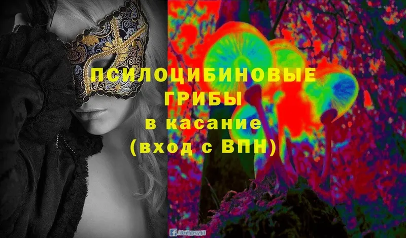 Галлюциногенные грибы MAGIC MUSHROOMS  купить наркоту  Бугуруслан 